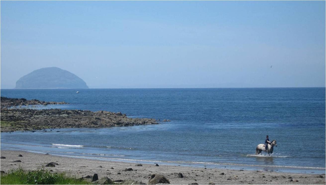 Woodland Bay Hotel Girvan Kültér fotó